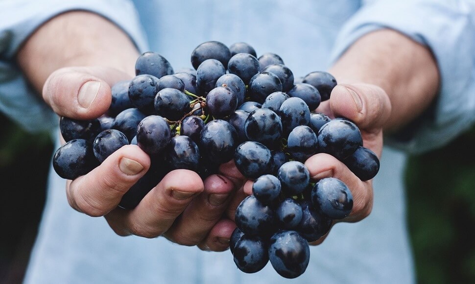 Malbec